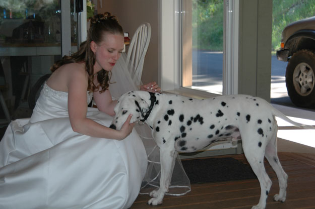 wedding060624194
